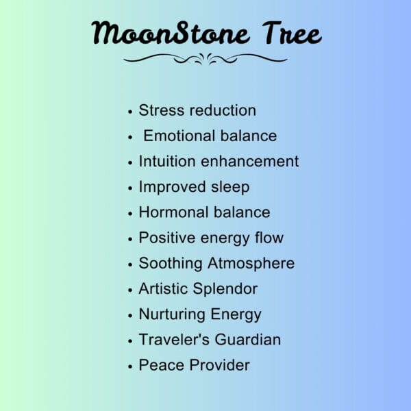 Natural Rainbow Moonstone M-Seal Silver Wire Stone Tree for Vastu - Image 5