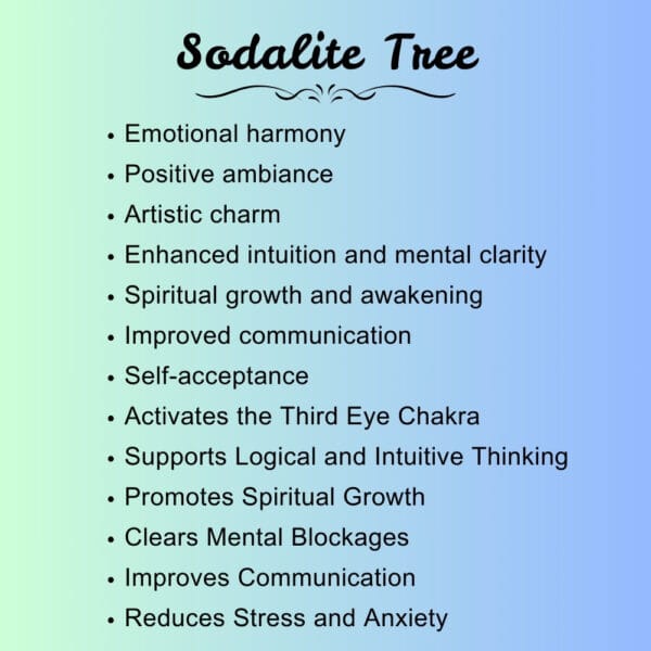 Natural Energized Sodalite Crystal Tree with Pearl for Compassion in Relation,Healing. - Image 5